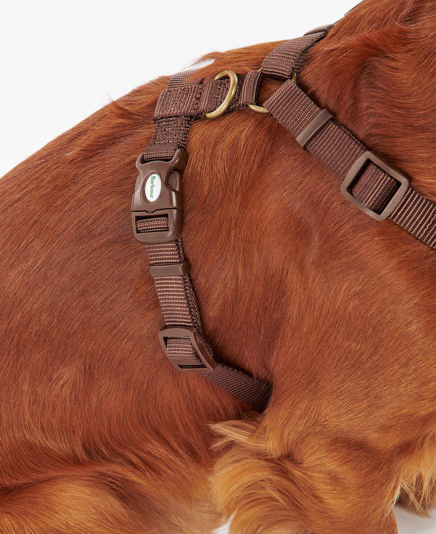 Travel And Exercise Harness Classic Tartan image number 4