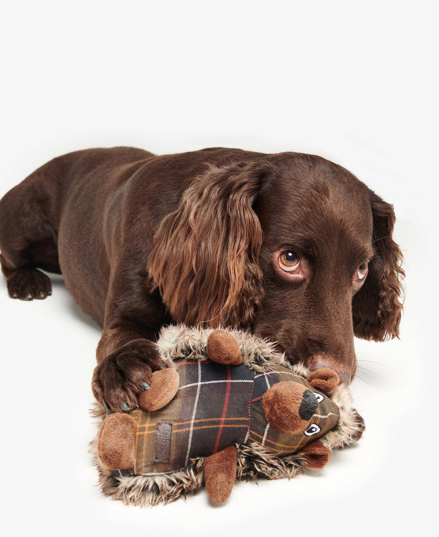 Dog Hedgehog Toy Brown-Tartan image number 3