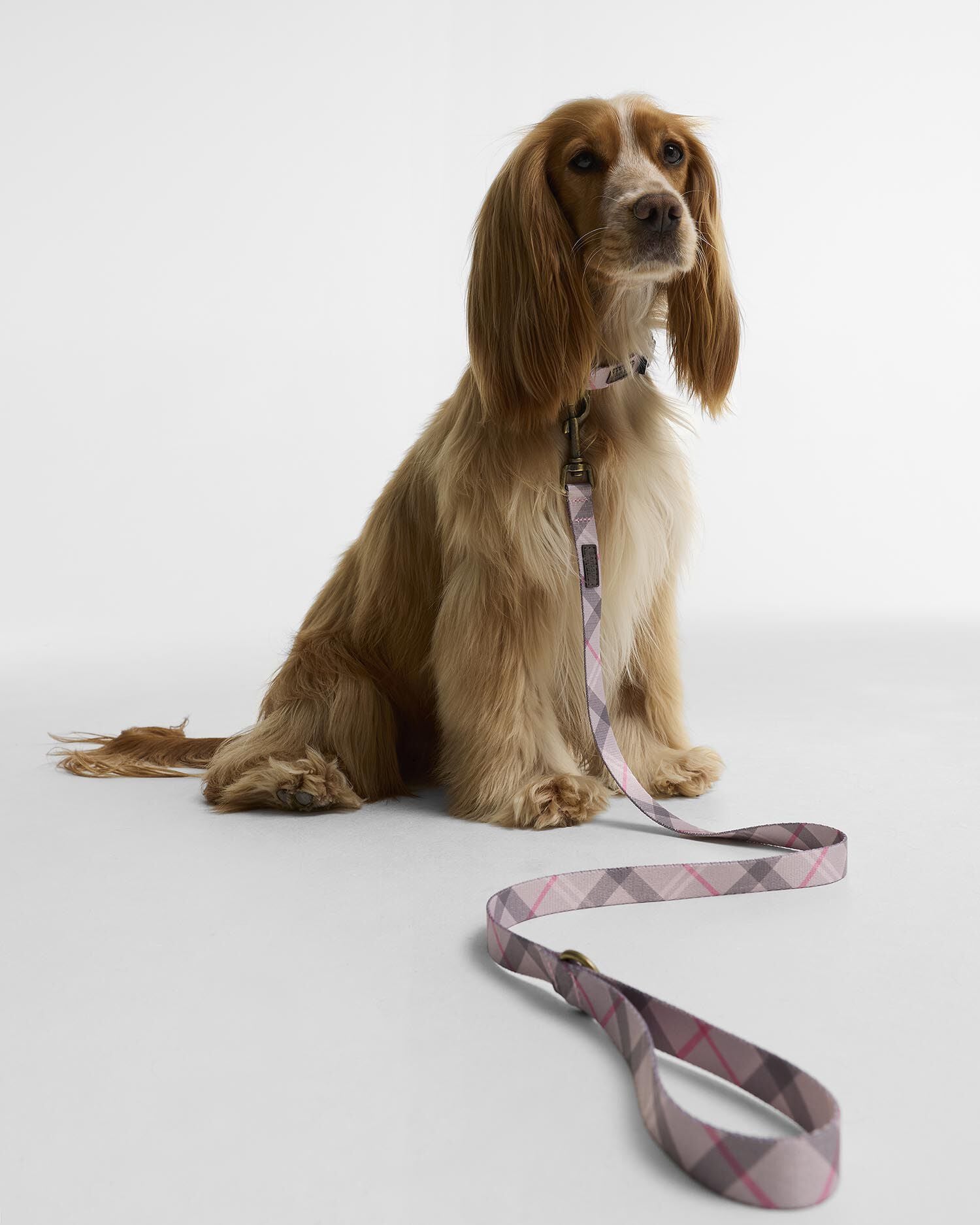 Tartan Printed Dog Lead Pink Tartan