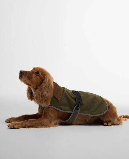 Monmouth Waterproof Dog Coat Olive