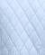 Breeze Blueswatch
