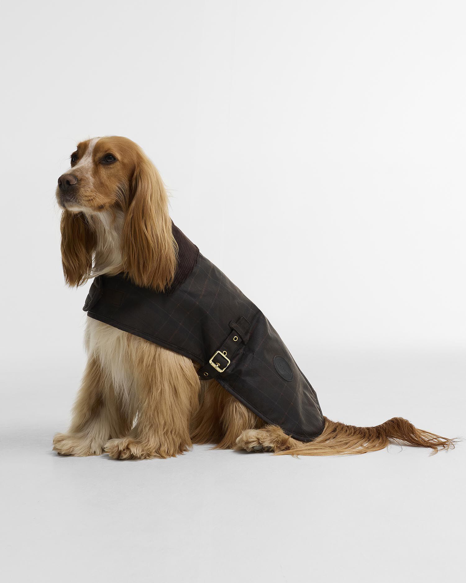 Tartan Waxed Dog Coat Muted Tartan