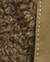 Beechswatch