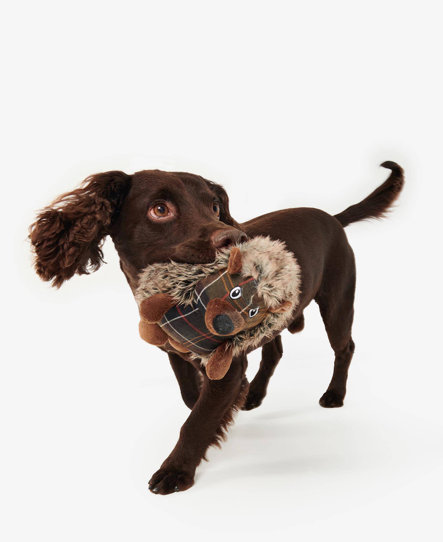 Dog Hedgehog Toy Brown-Tartan image number 0