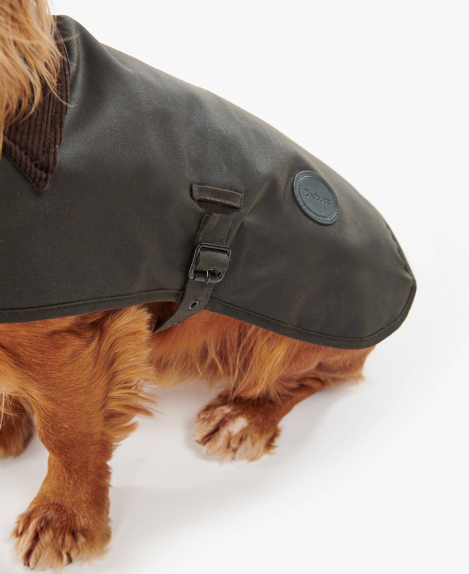 Waxed Dog Coat Olive image number 4