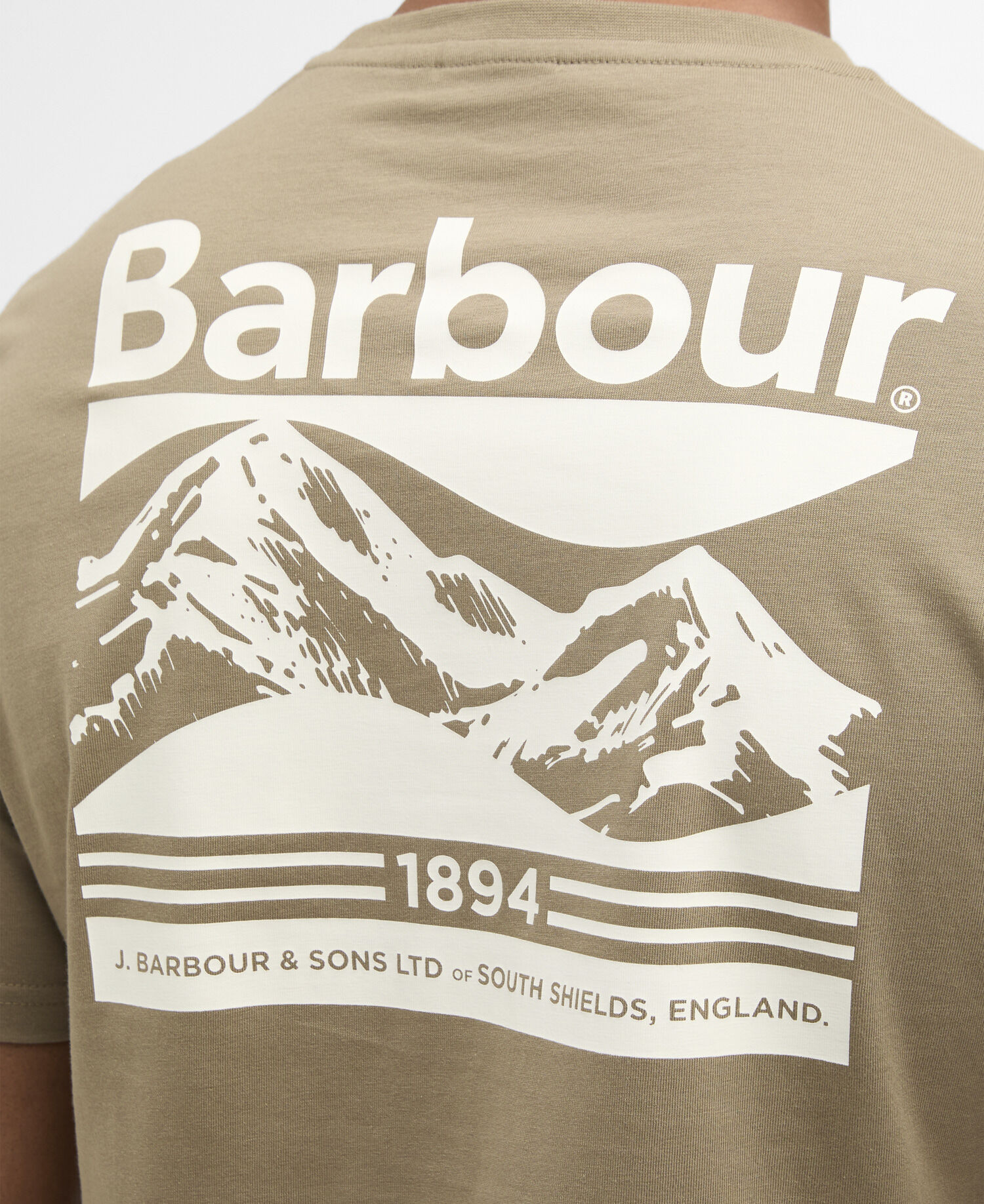 T-Shirt Camber Graphic Grey Olive