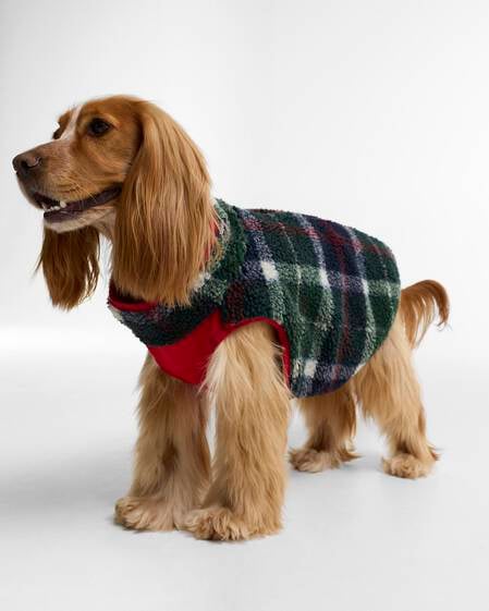 Field Reversible Dog Coat Evergreen Tartan
