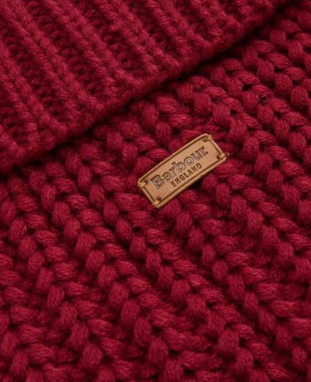 Saltburn Dog Jumper Biking Red