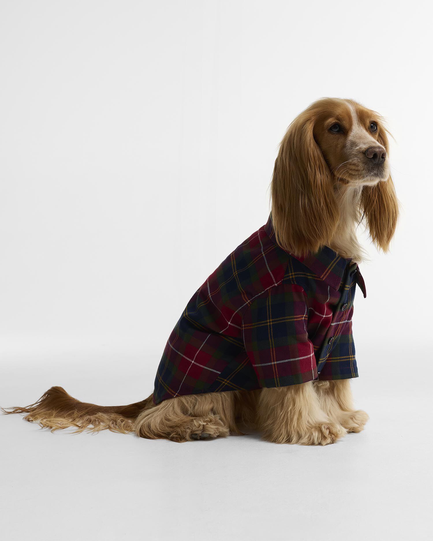 Tartan Fortrose Dog Shirt Winterberry Tartan
