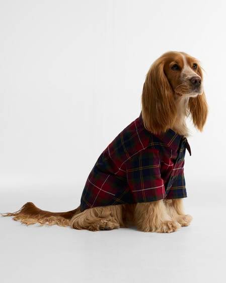 Tartan Fortrose Dog Shirt Winterberry Tartan