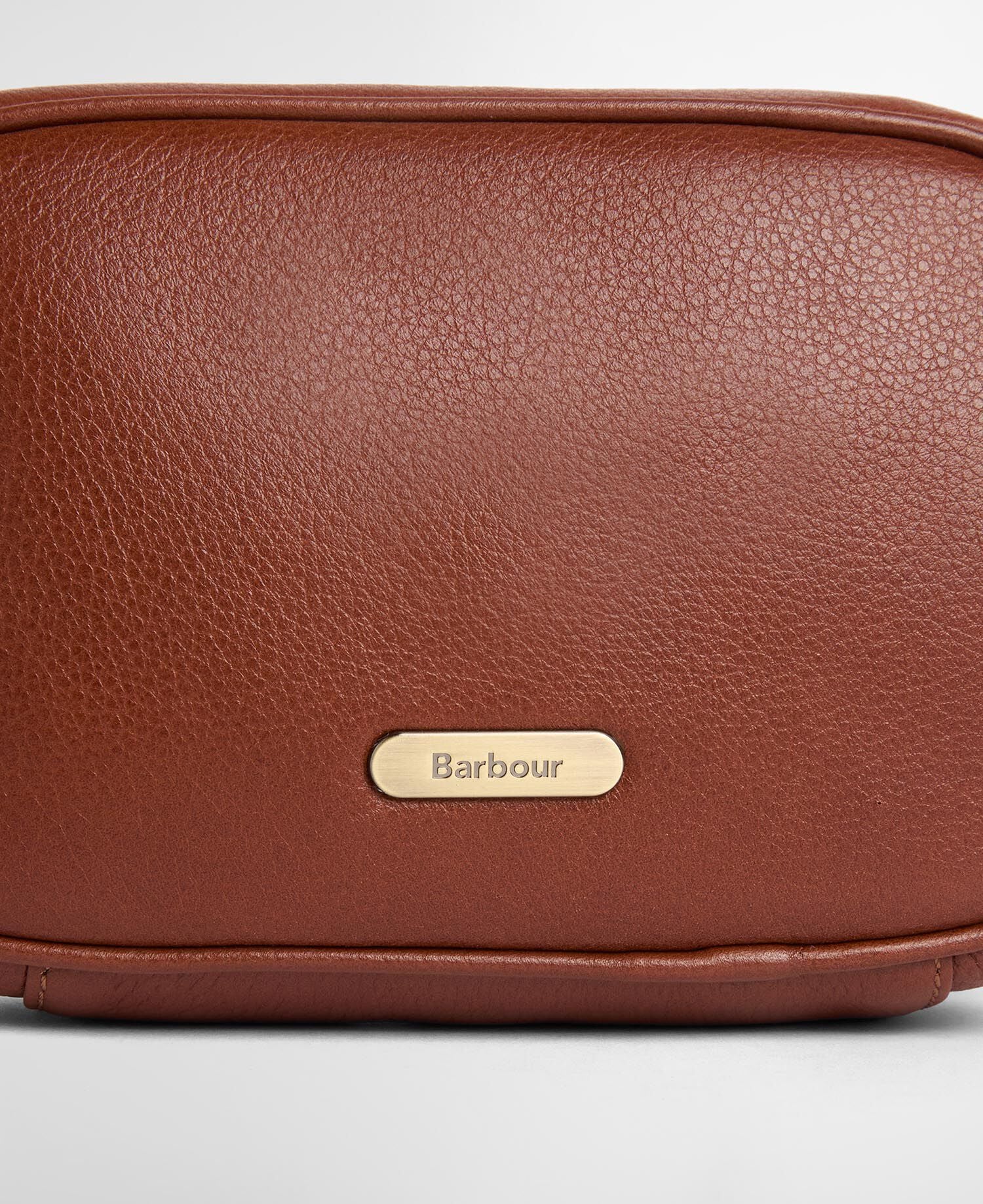 Daphne Mini Leather Crossbody Bag Brown