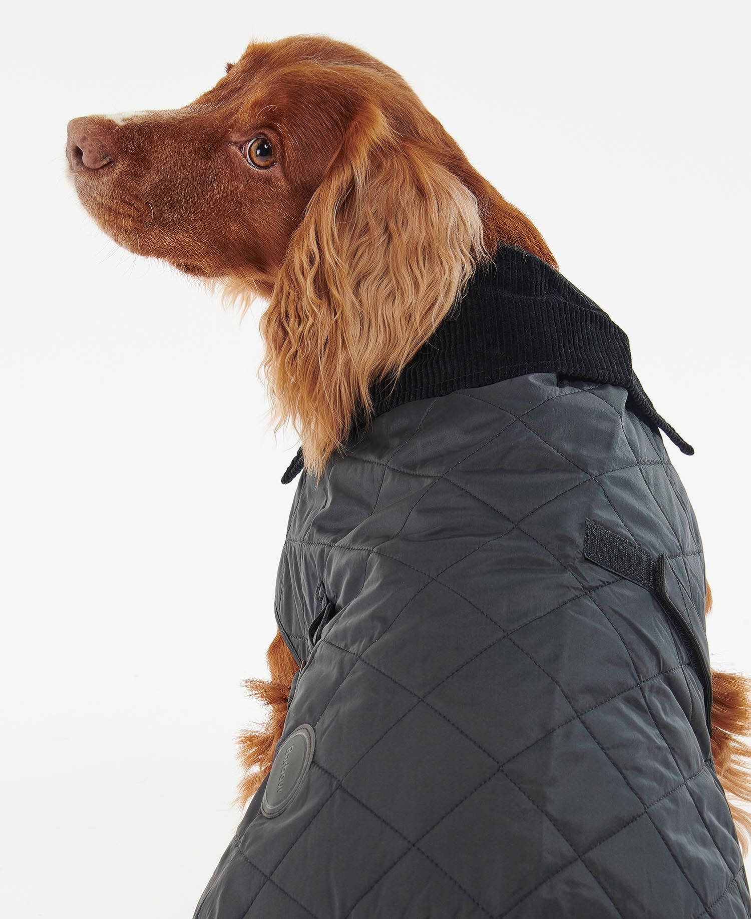 Hundemantel Quilted