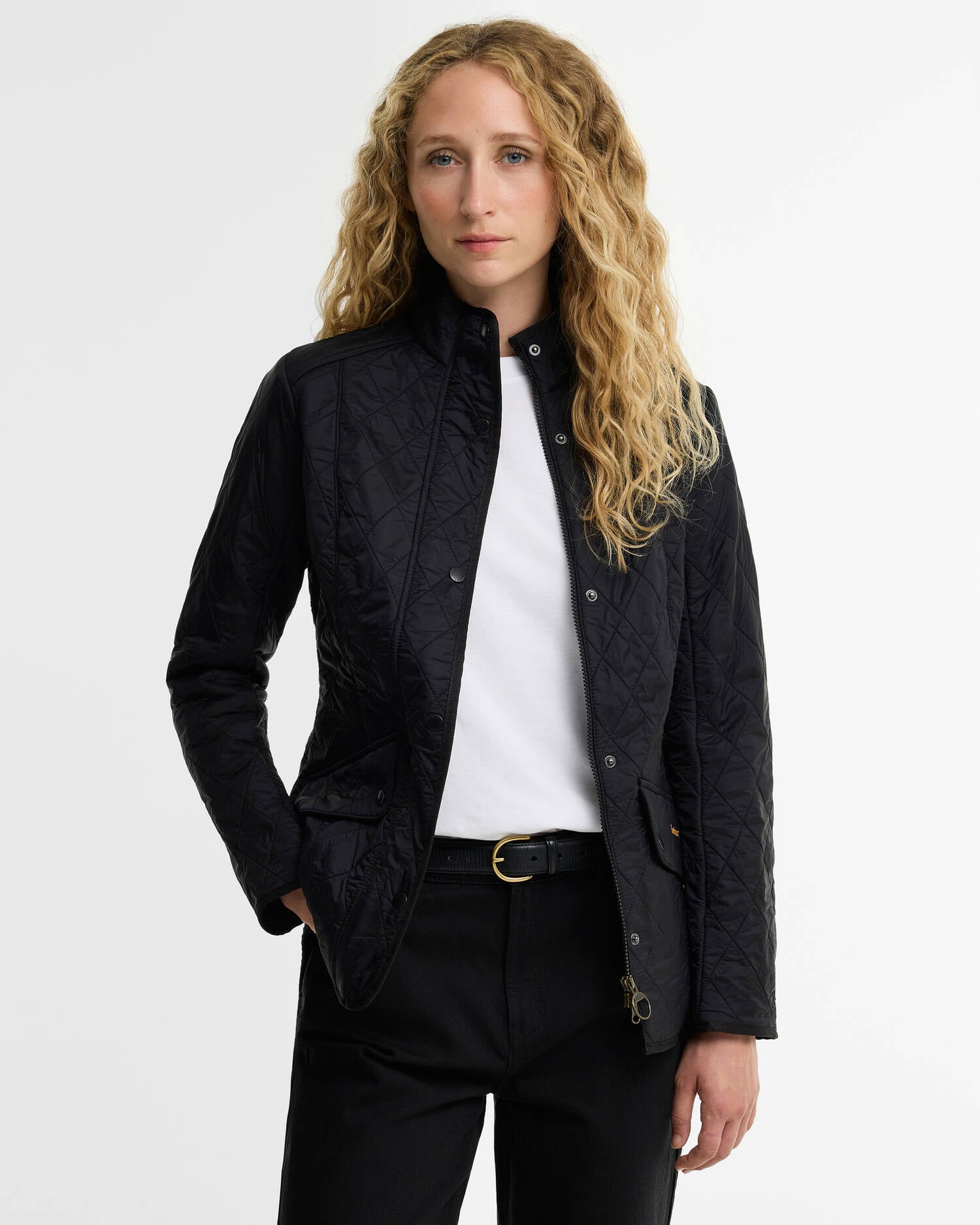 Cavalry Polarquilt Jacket Classic Black image number 0