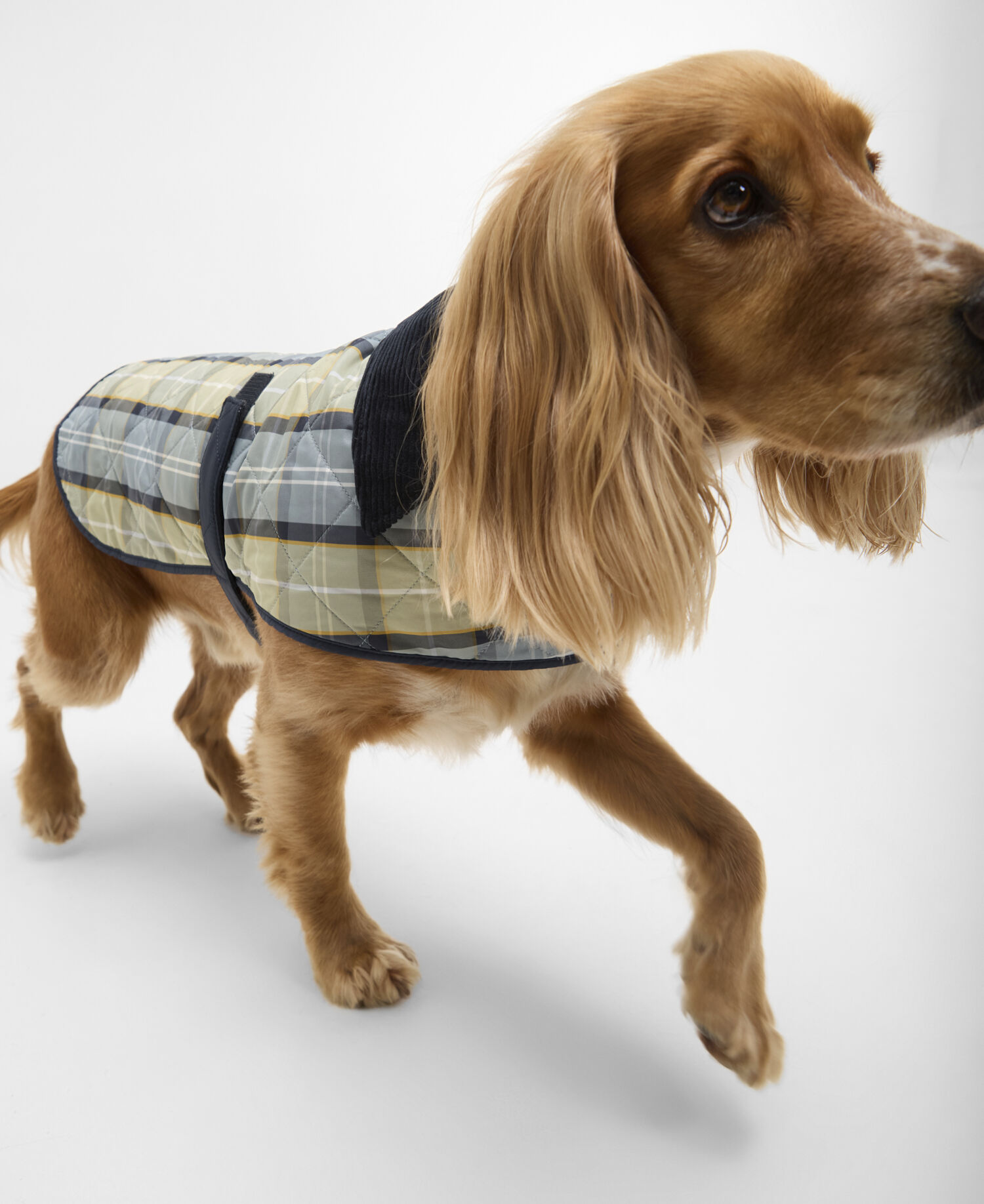 Tartan Dog Coat Highland Loch Tartan