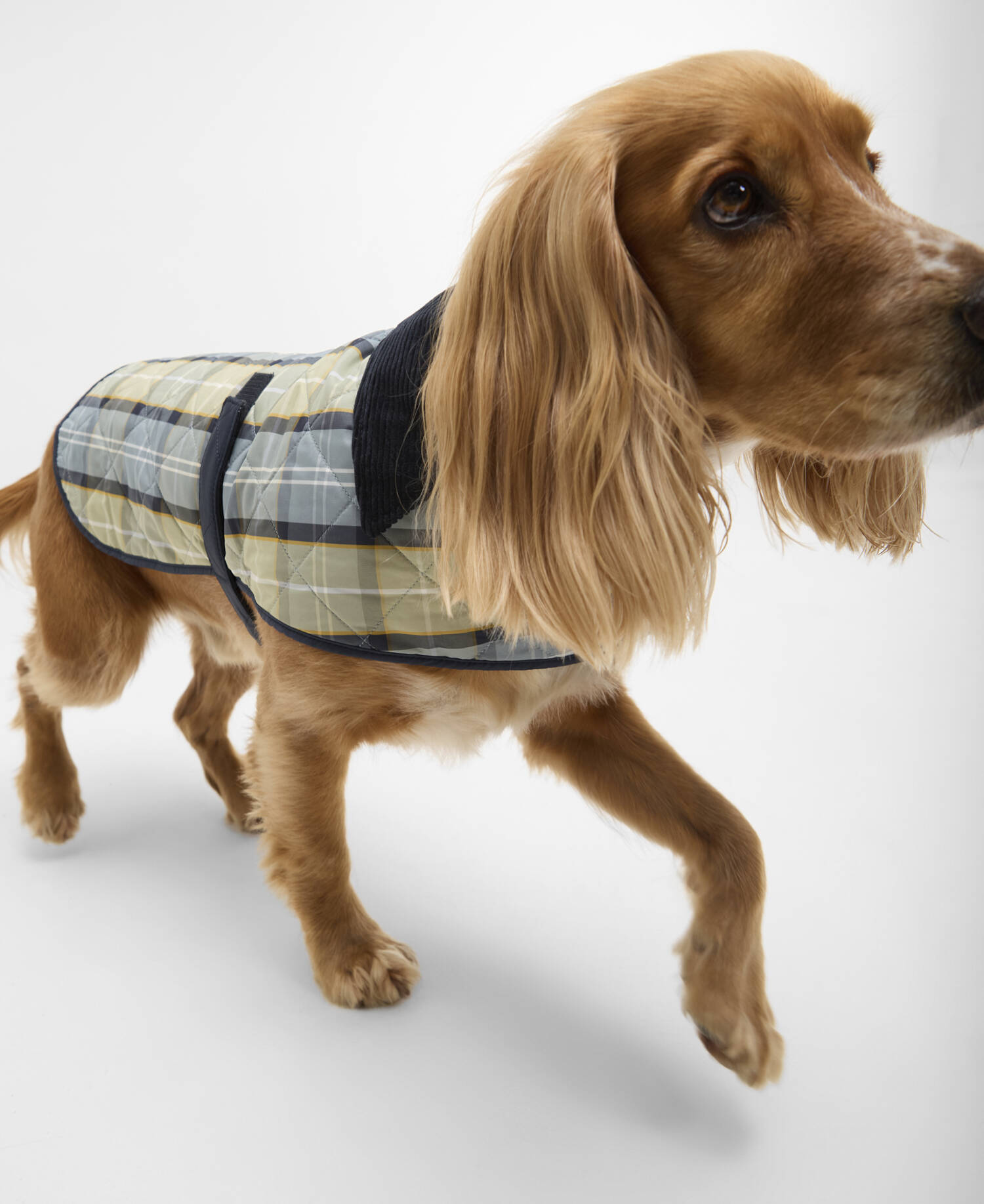 Tartan Dog Coat Highland Loch Tartan image number 0