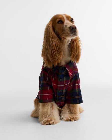 Tartan Fortrose Dog Shirt Winterberry Tartan