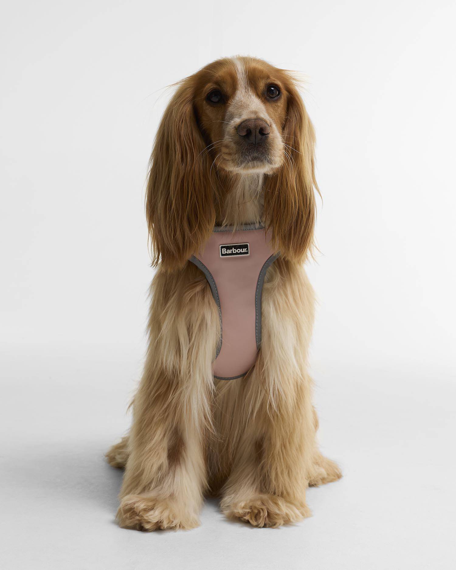 Evie Dog Harness Gardenia Pink image number 0