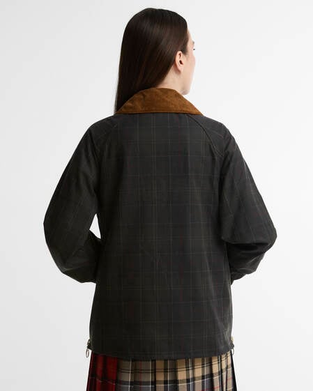 not in range Classic Tartan