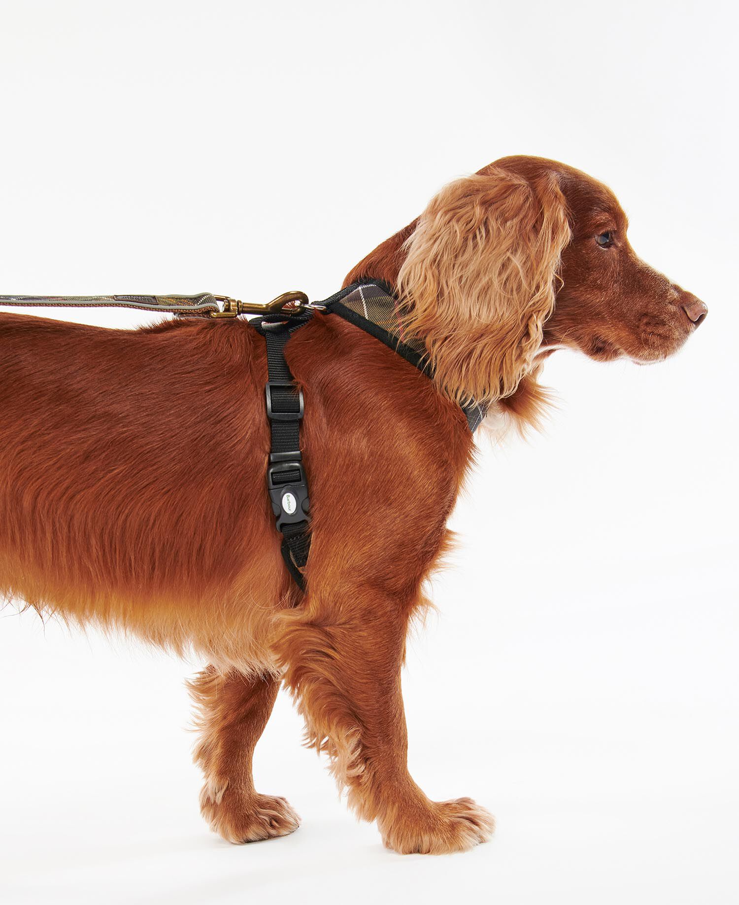 Tartan Dog Harness