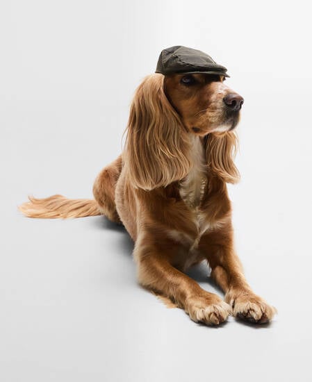 Dog Wax Flat Cap Olive