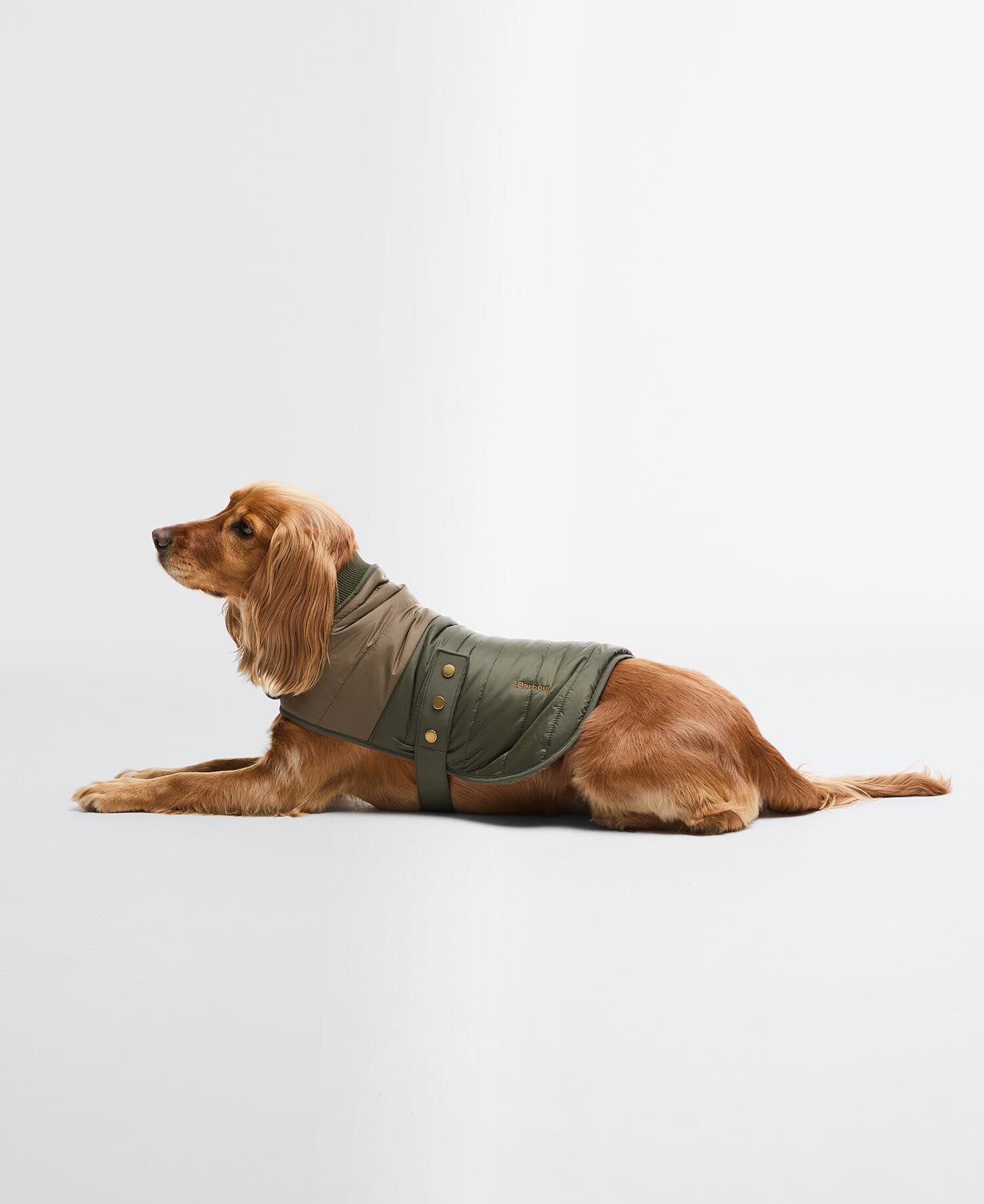 Brampton Quilted Dog Coat Olive/Khaki