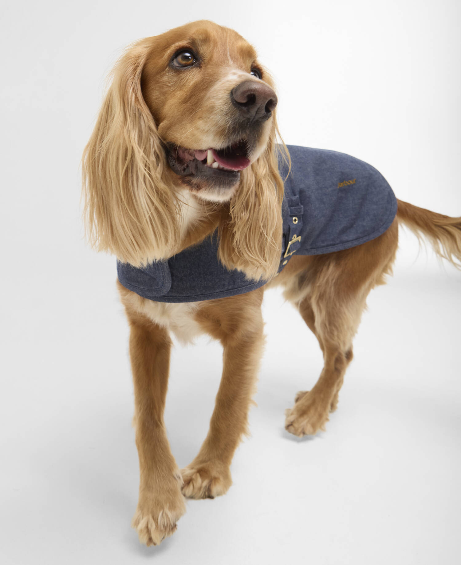 Hundemantel Denim Drywax Indigo image number 0