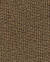 Beechswatch