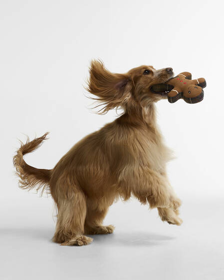 Christmas Gingerbread Dog Toy Brown