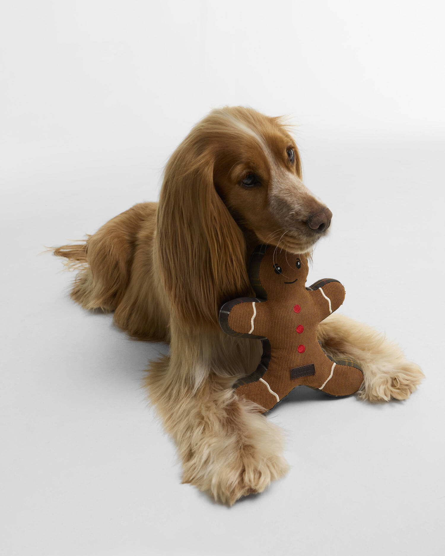 Christmas Gingerbread Dog Toy Brown image number 1