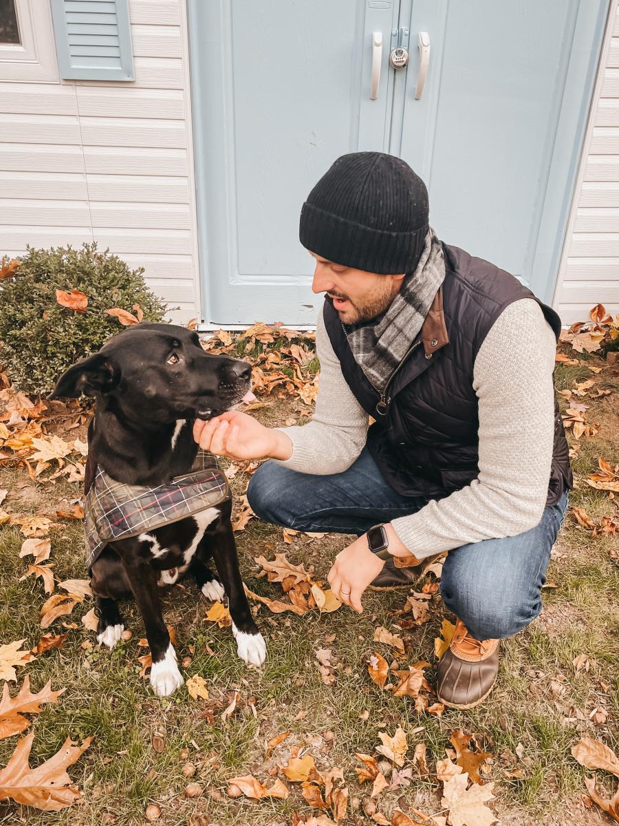 Barbour Dogs