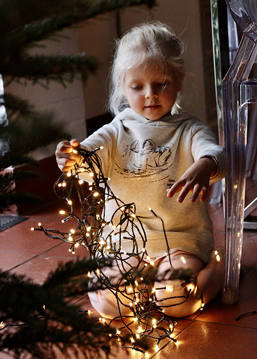 The Perfect Guide to a Christmas Night In The Perfect Guide to a Christmas Night In