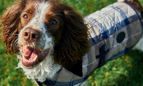 Barbour X Engineered Garments | AW21 | Barbour