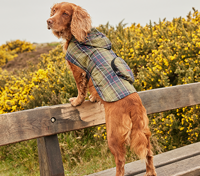Barbour deutschland clearance