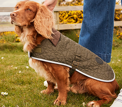 Barbour Dog Walking Outfit Ideas