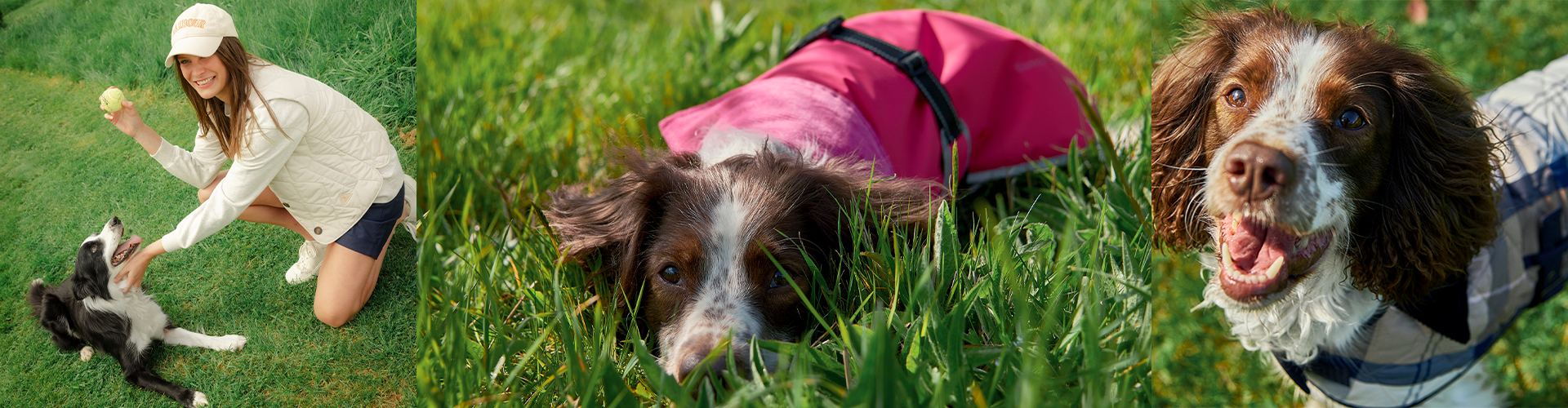 Dog in jacket 