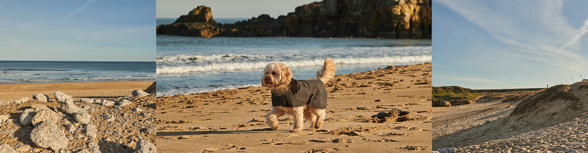 Dog-Friendly Coastal Cafés