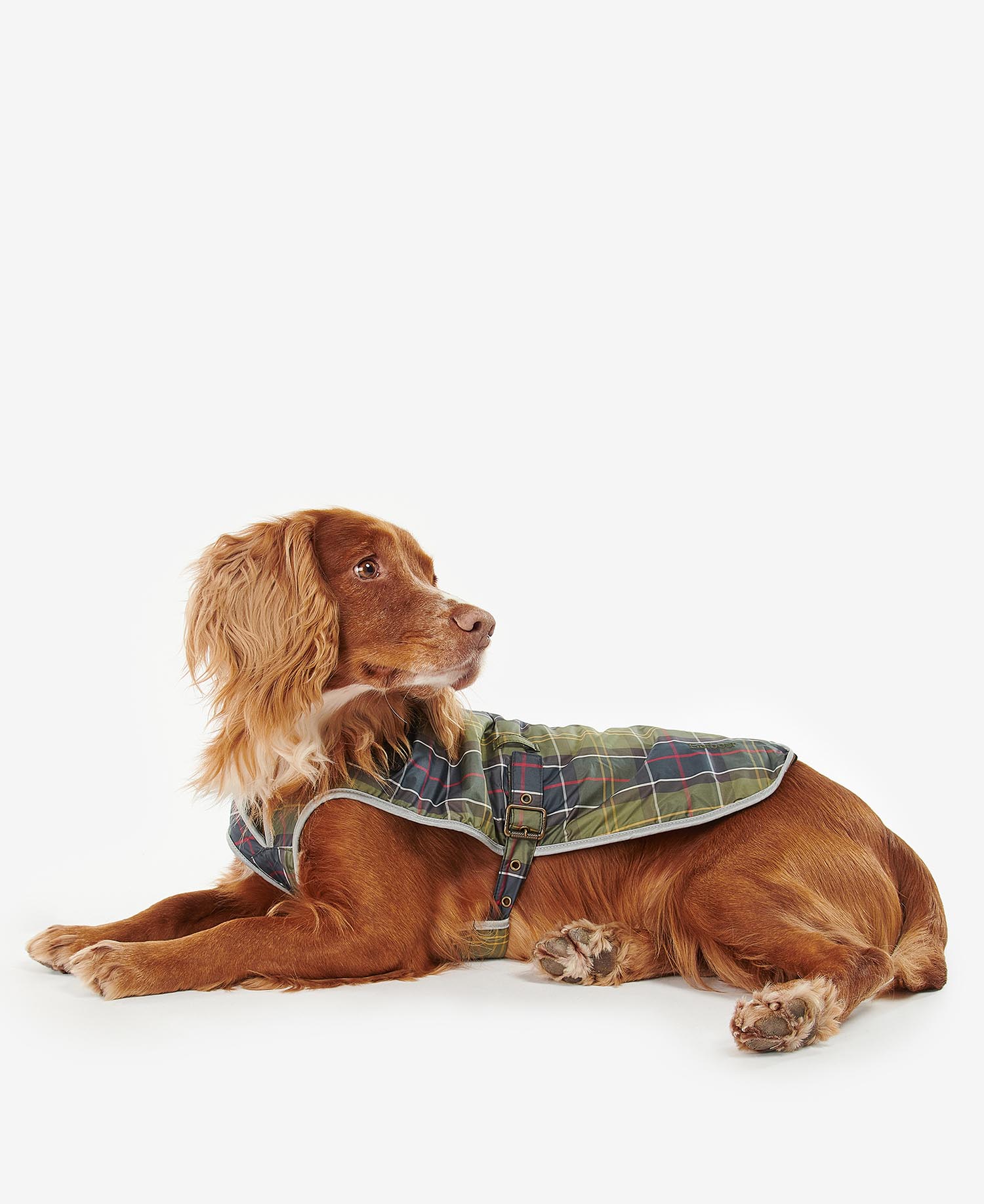 Barbour Waterproof Tartan Dog Coat in Tartan Barbour Barbour