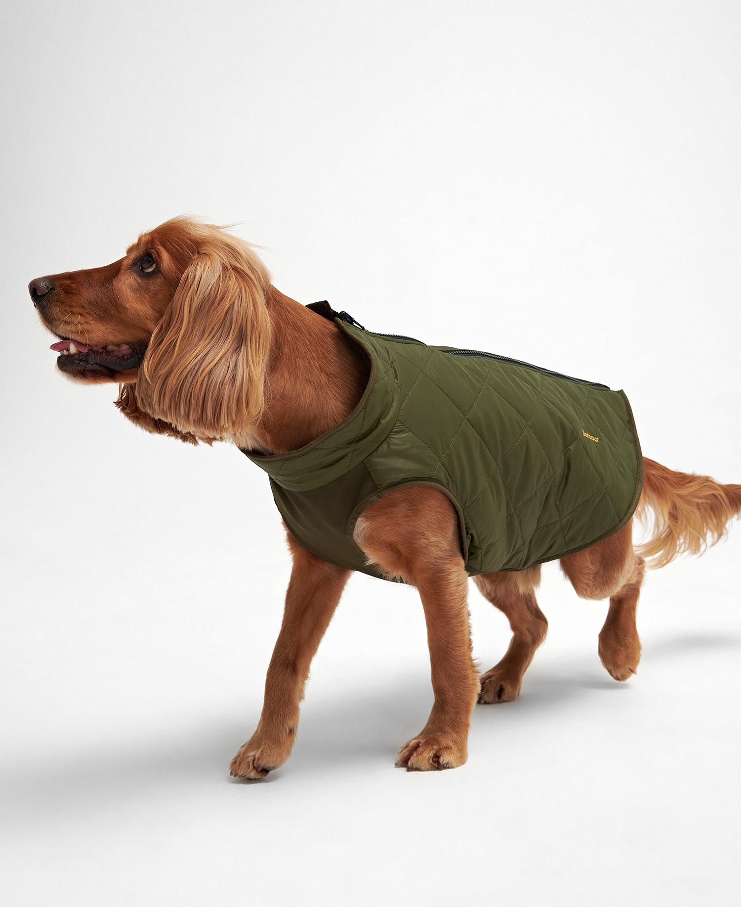 Barbour quilted dog coat black hotsell