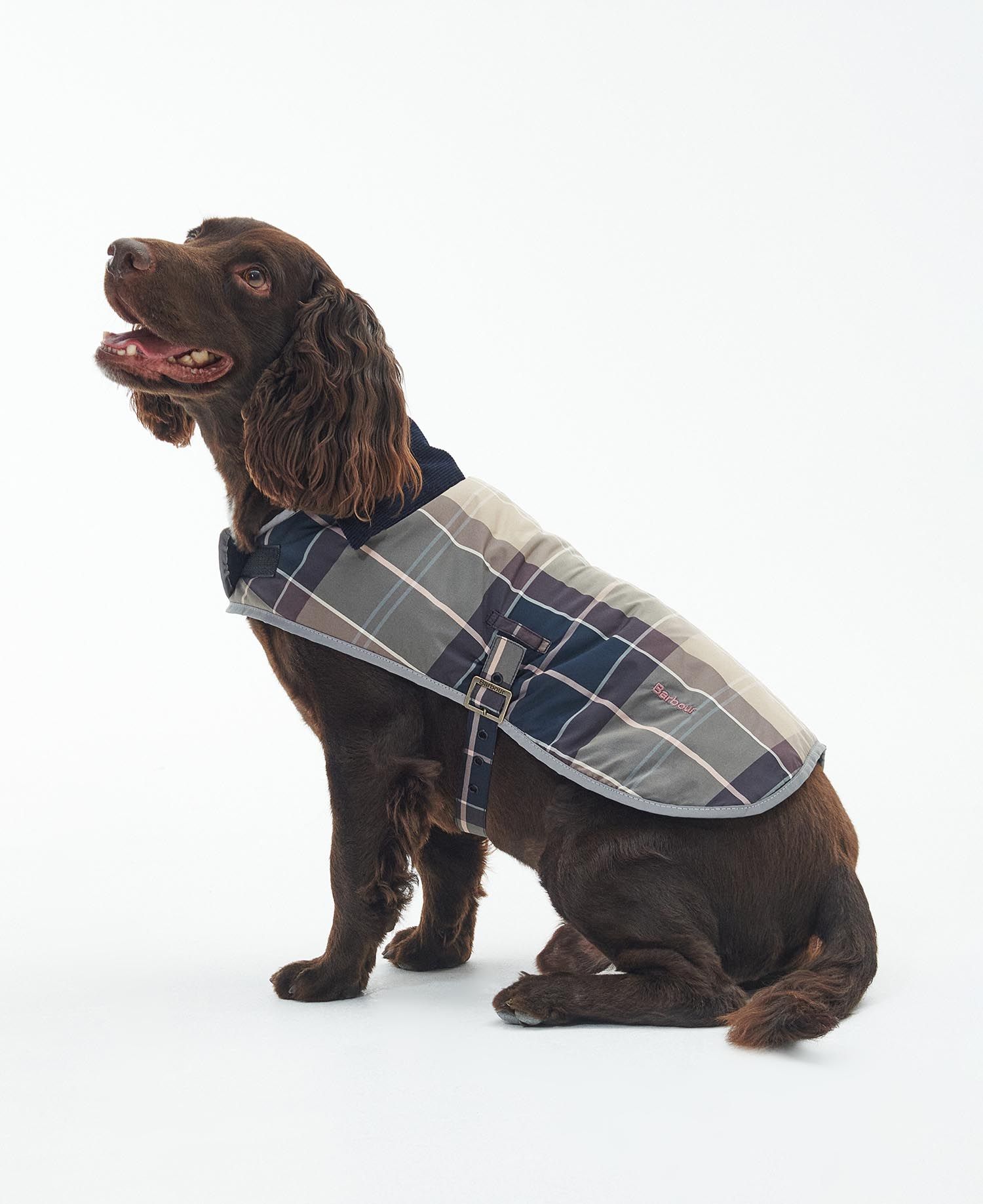 Barbour dog sales coat french bulldog