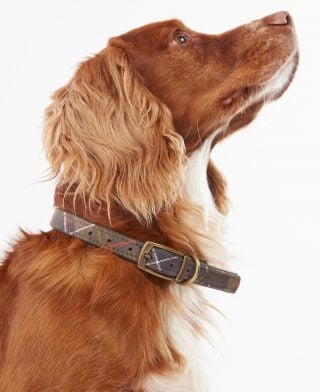 Tartan Dog Collar