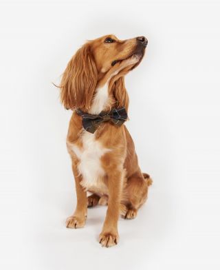 Tartan Dog Bow Tie