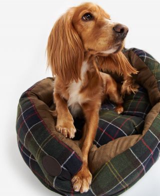 Barbour 35in Luxury Dog Bed