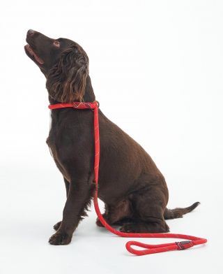 Barbour Reflective Slip Dog Lead