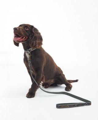 Barbour Reflective Tartan Comfort Dog Lead