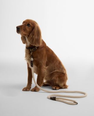Hundeleine Rope