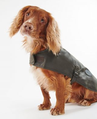 Barbour Hundemantel Wax