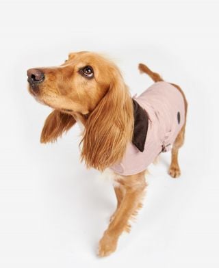 Quilted Dog Coat