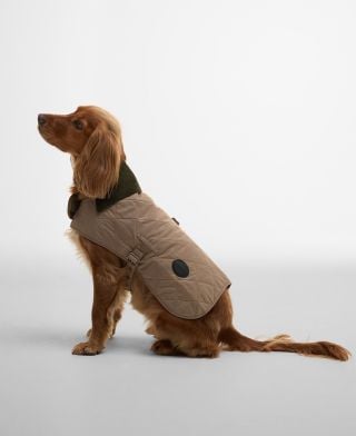 Hundemantel Quilted