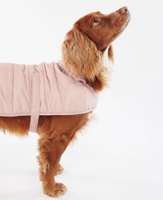 Barbour Dogs | Barbour