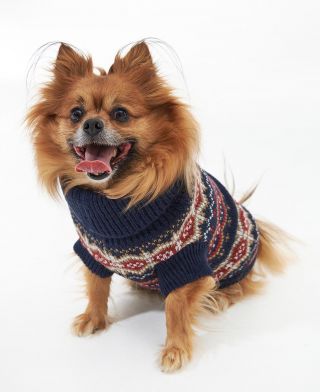 Barbour Case Fairisle Dog Jumper